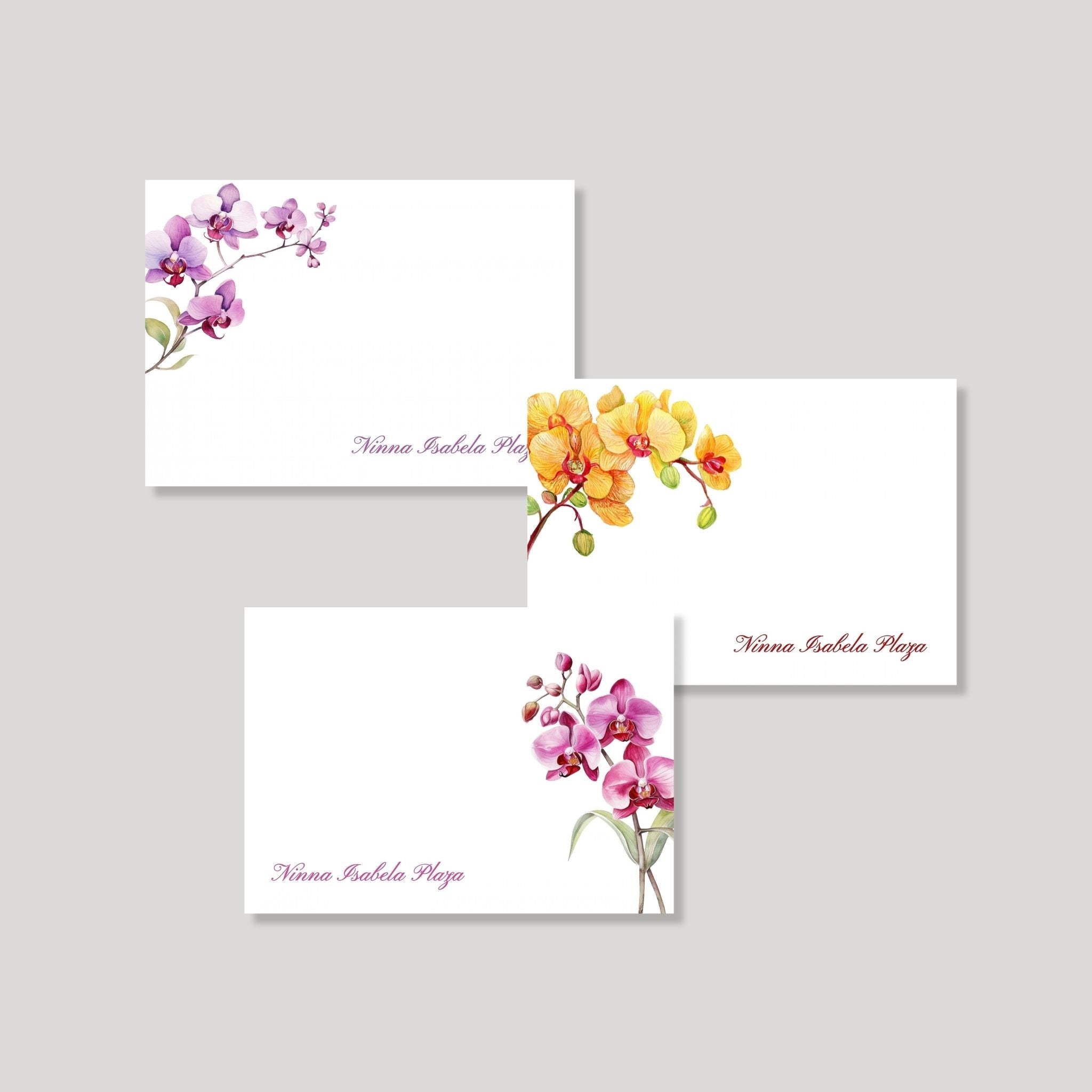 Orchid